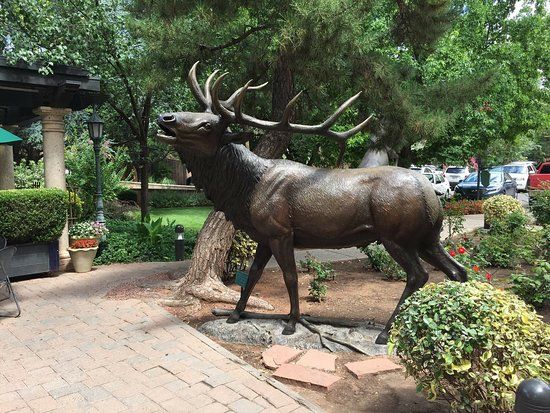 Navarro Gallery & Sculpture Garden